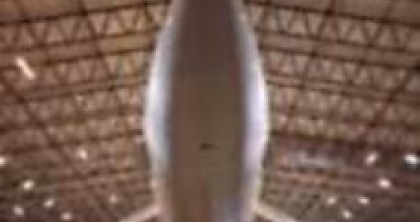 First Image