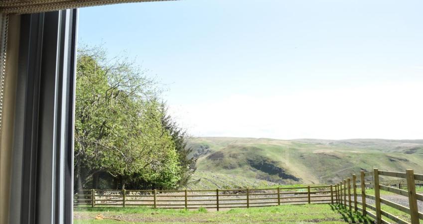 Image 13