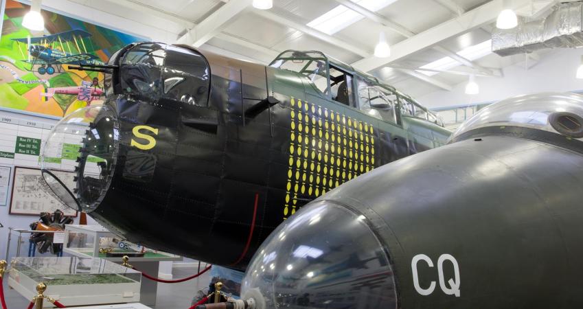 Image 15