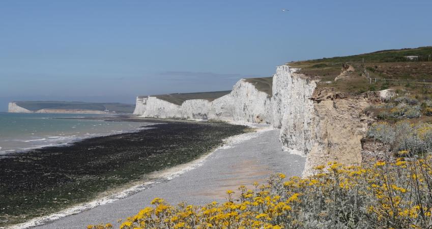 Image 14