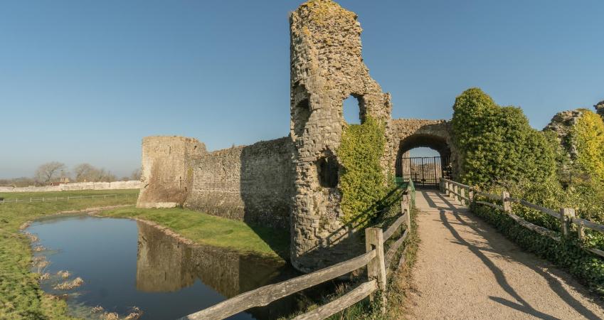 Image 15