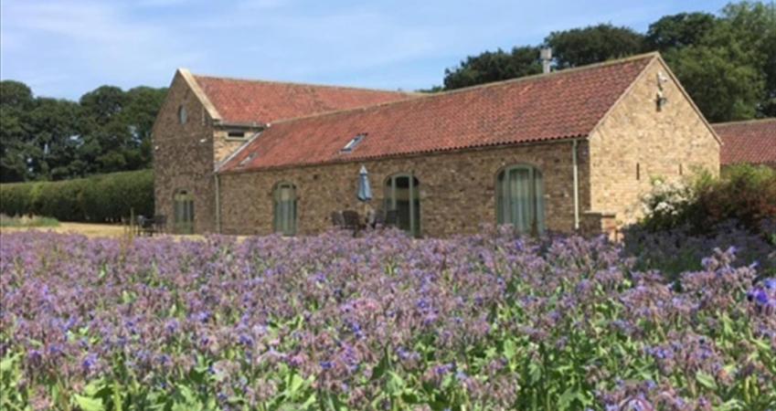 Image 12