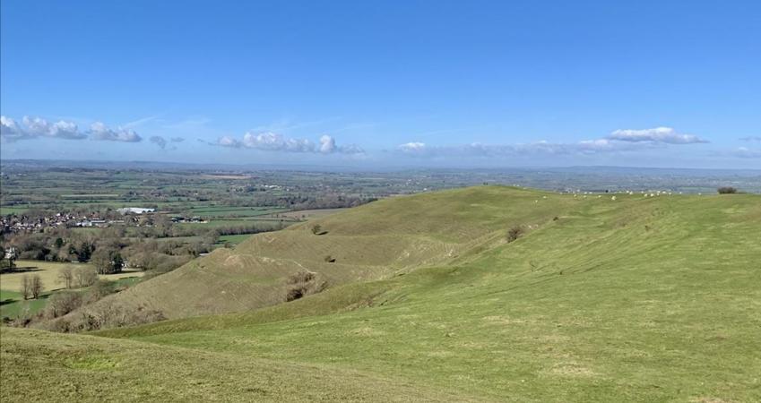 Image 17