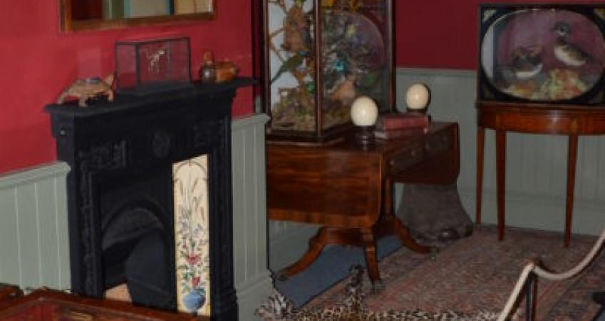 Second Image