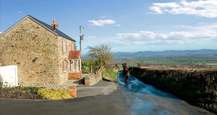 Image 16