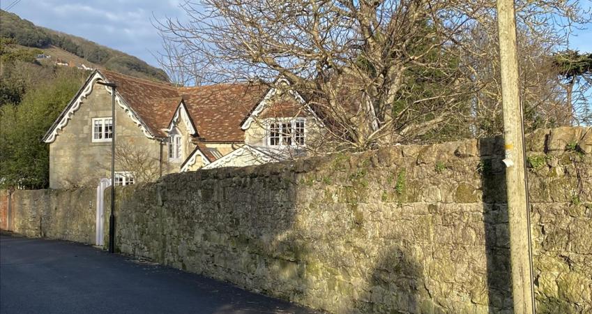 Image 7