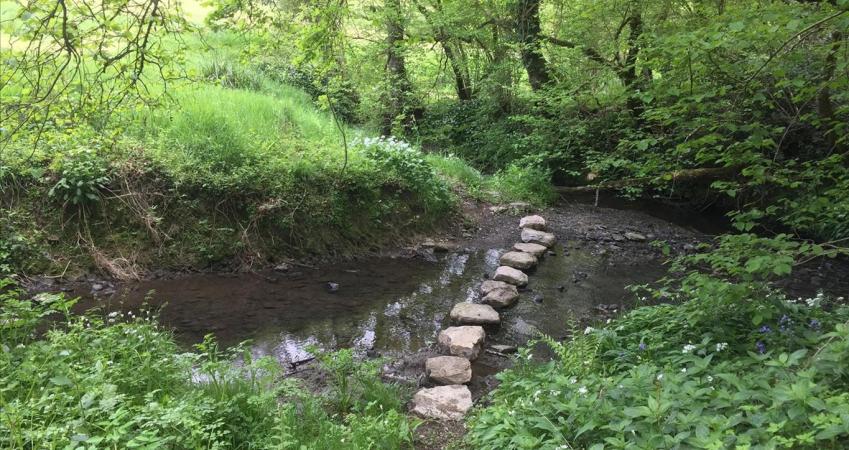 Image 16