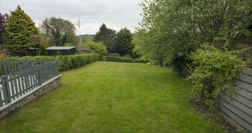 Second Image