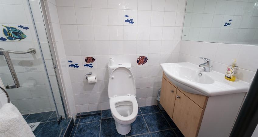 Image 10