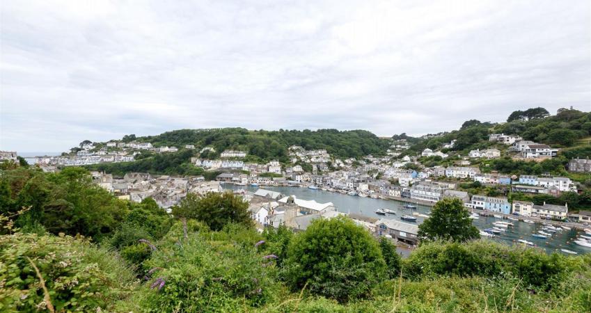 Image 14