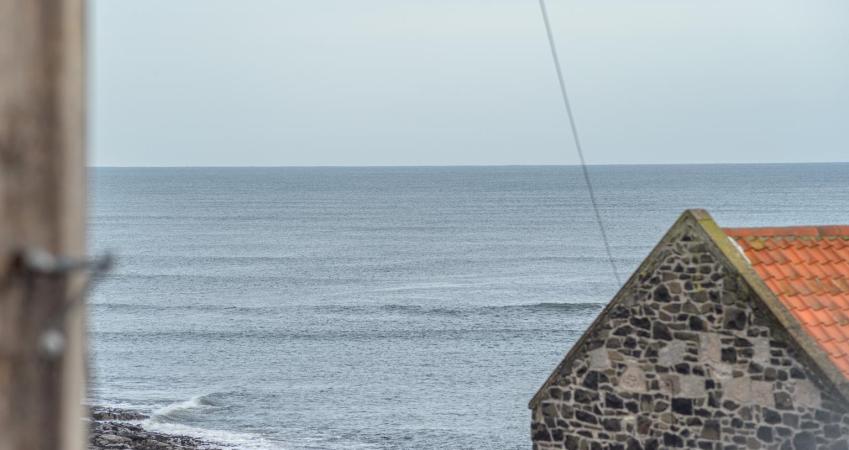 Image 9