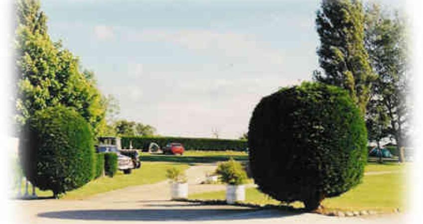 First Image