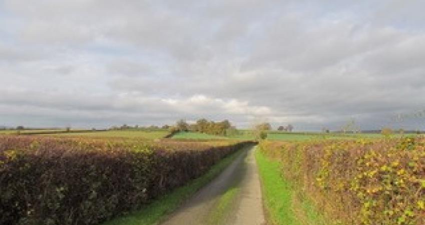 Image 13
