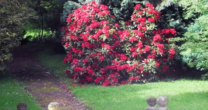 Image 14