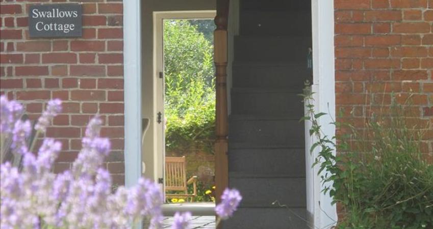 Second Image