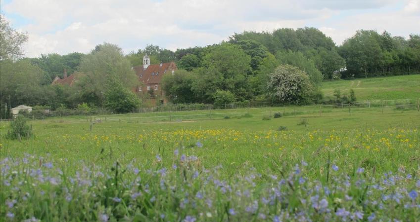 Image 12