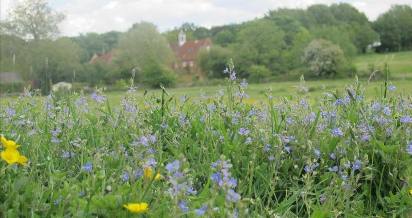 Image 17