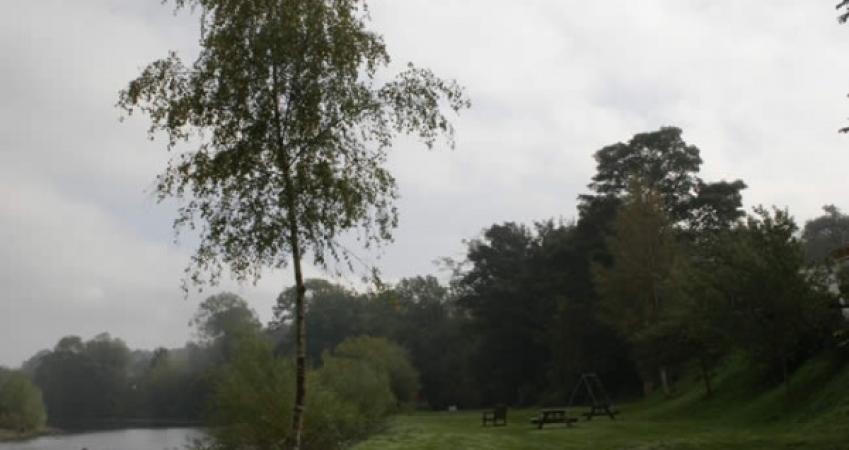 Second Image