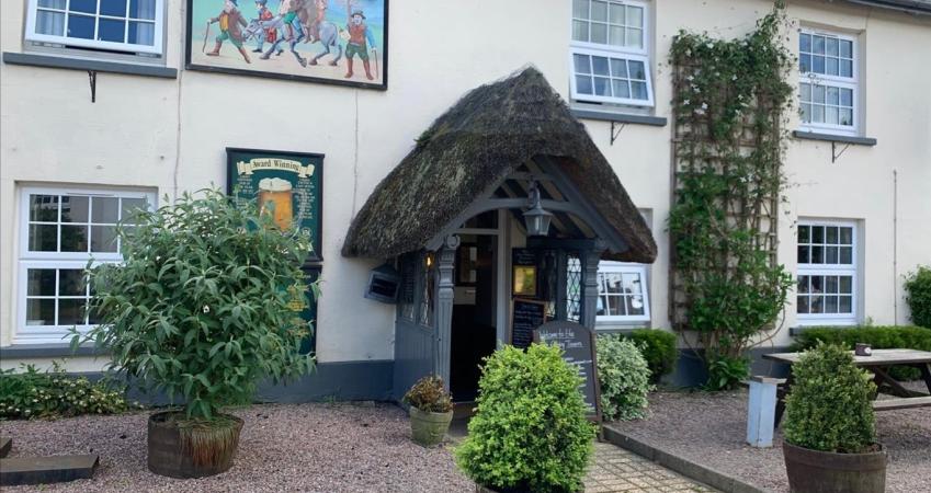 Image 15