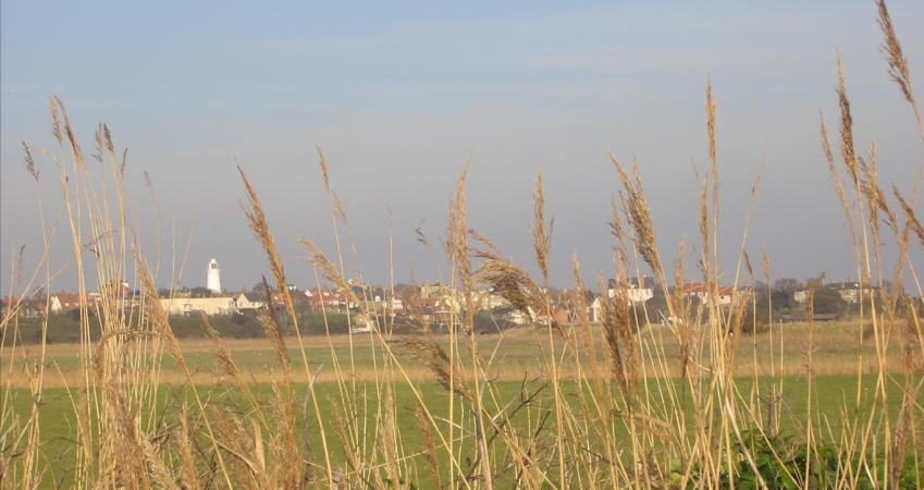 Image 18
