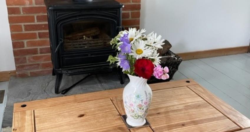 Image 16