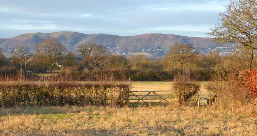 Image 14