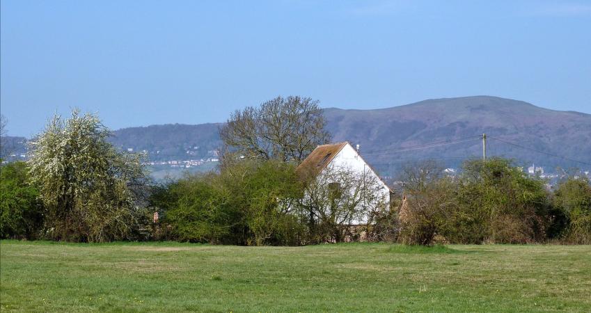 Image 16