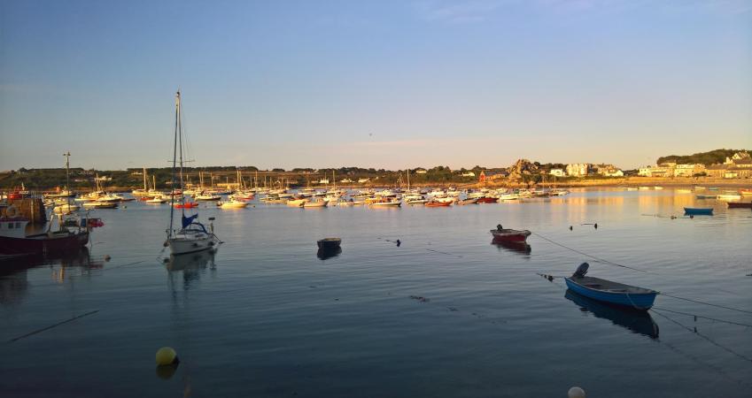 Image 5