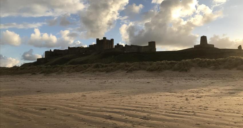Image 15