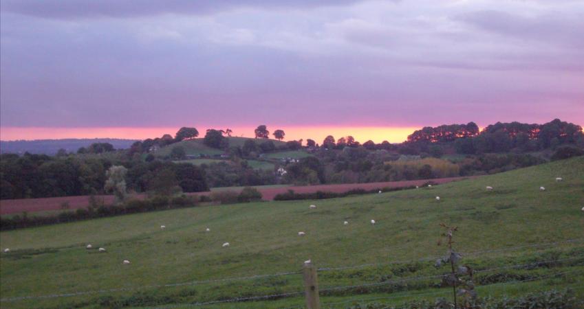Image 12