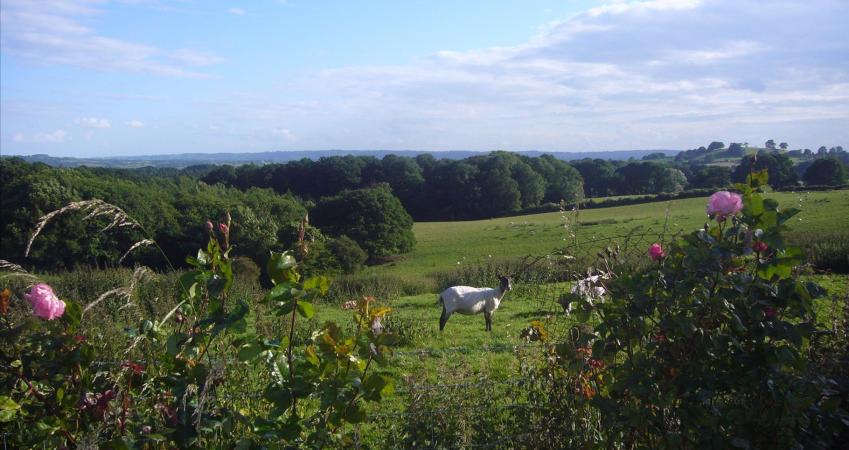 Image 12