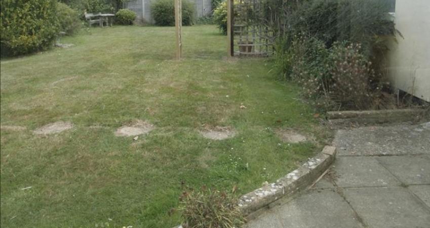 Image 20