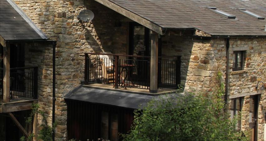 Image 11