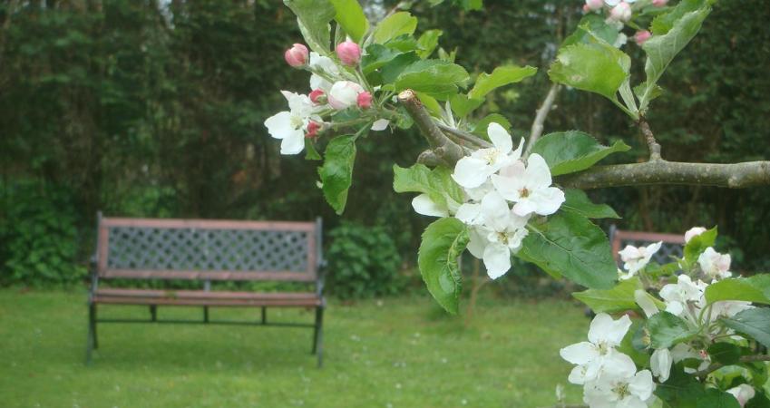 Image 17