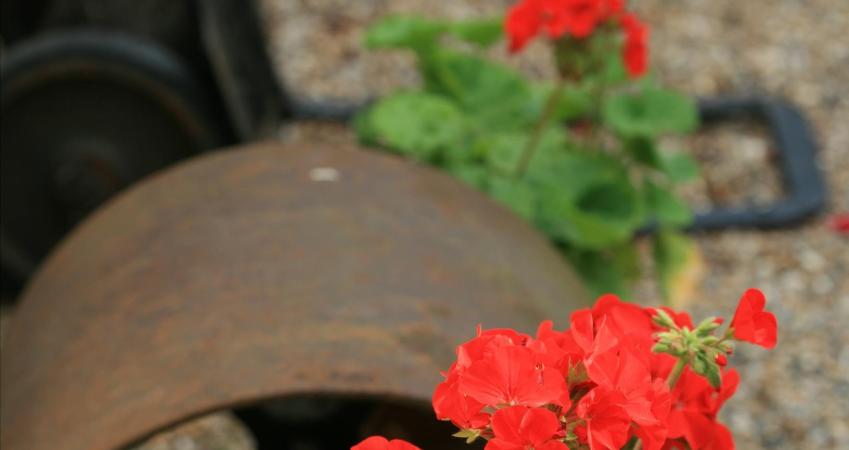 Image 16