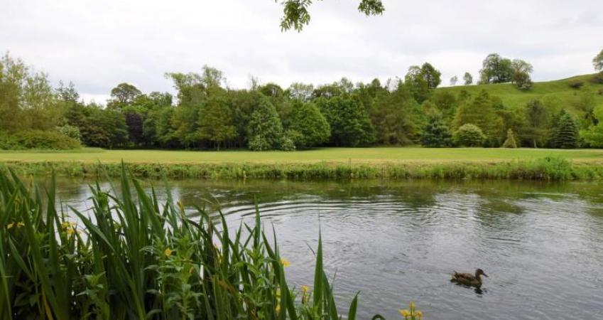 Image 15