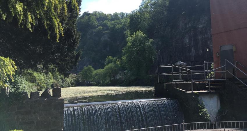 Image 11