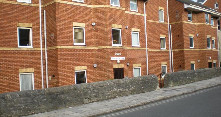 Image 7