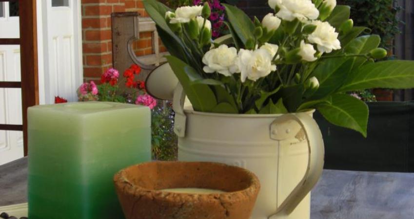 Image 14