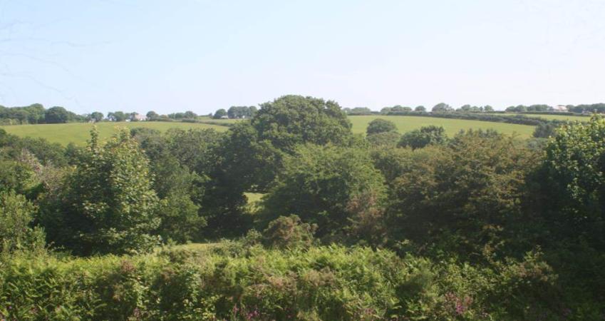 Second Image