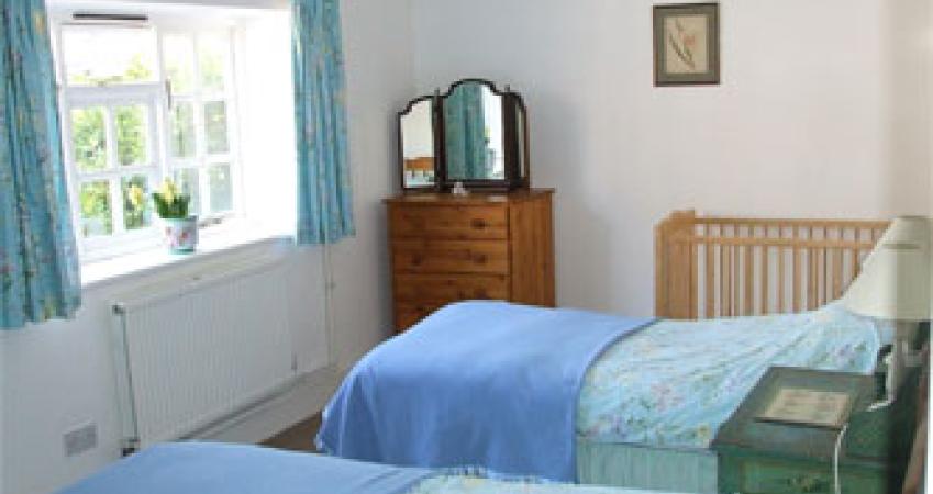 Second Image