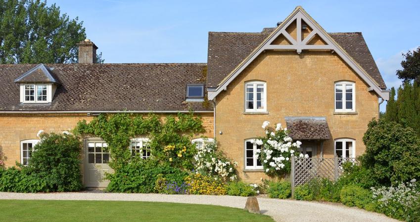 First Image