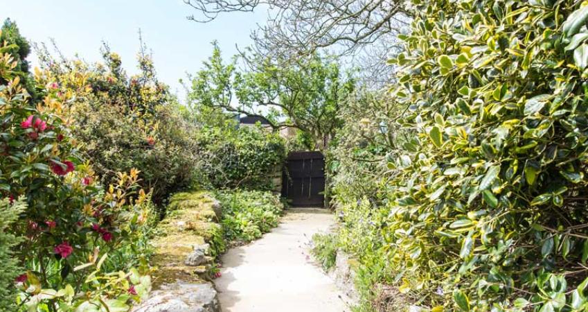 Image 12