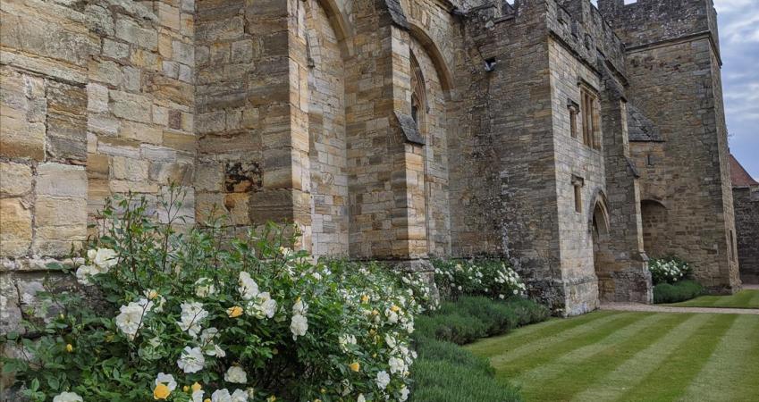 Image 11
