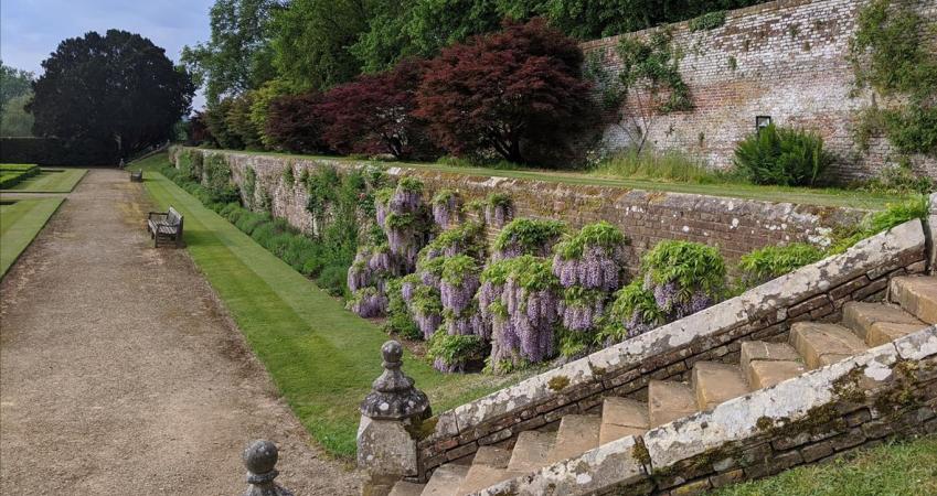 Image 12