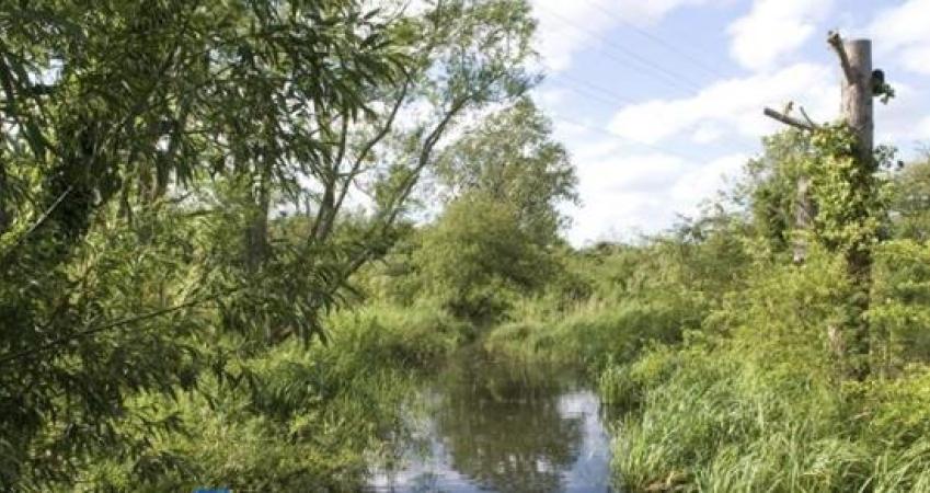 Second Image