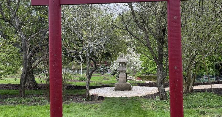 Image 10