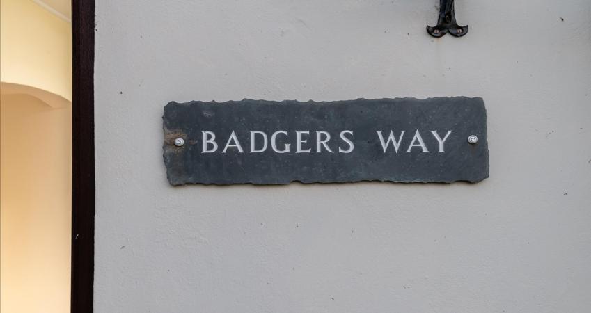 Image 19