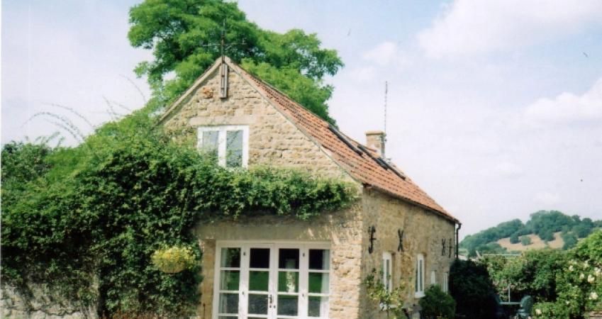 Image 9