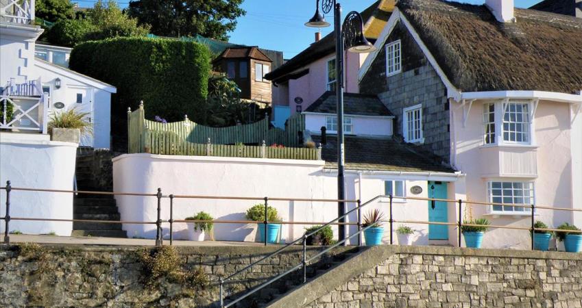 Image 15